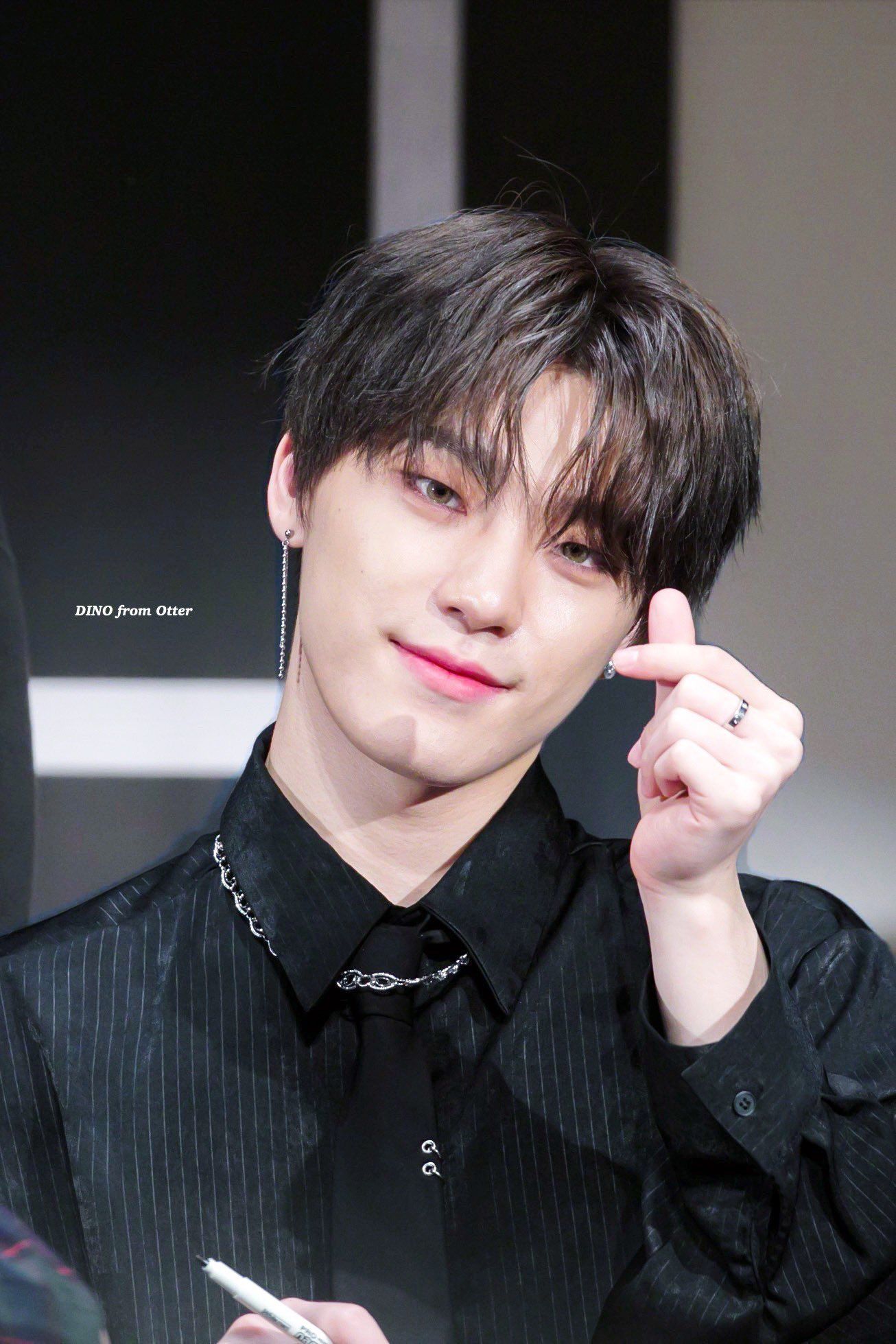 10 件の「SEVENTEEN DINO」や「seventeen ディノ」のアイデアを見つけ