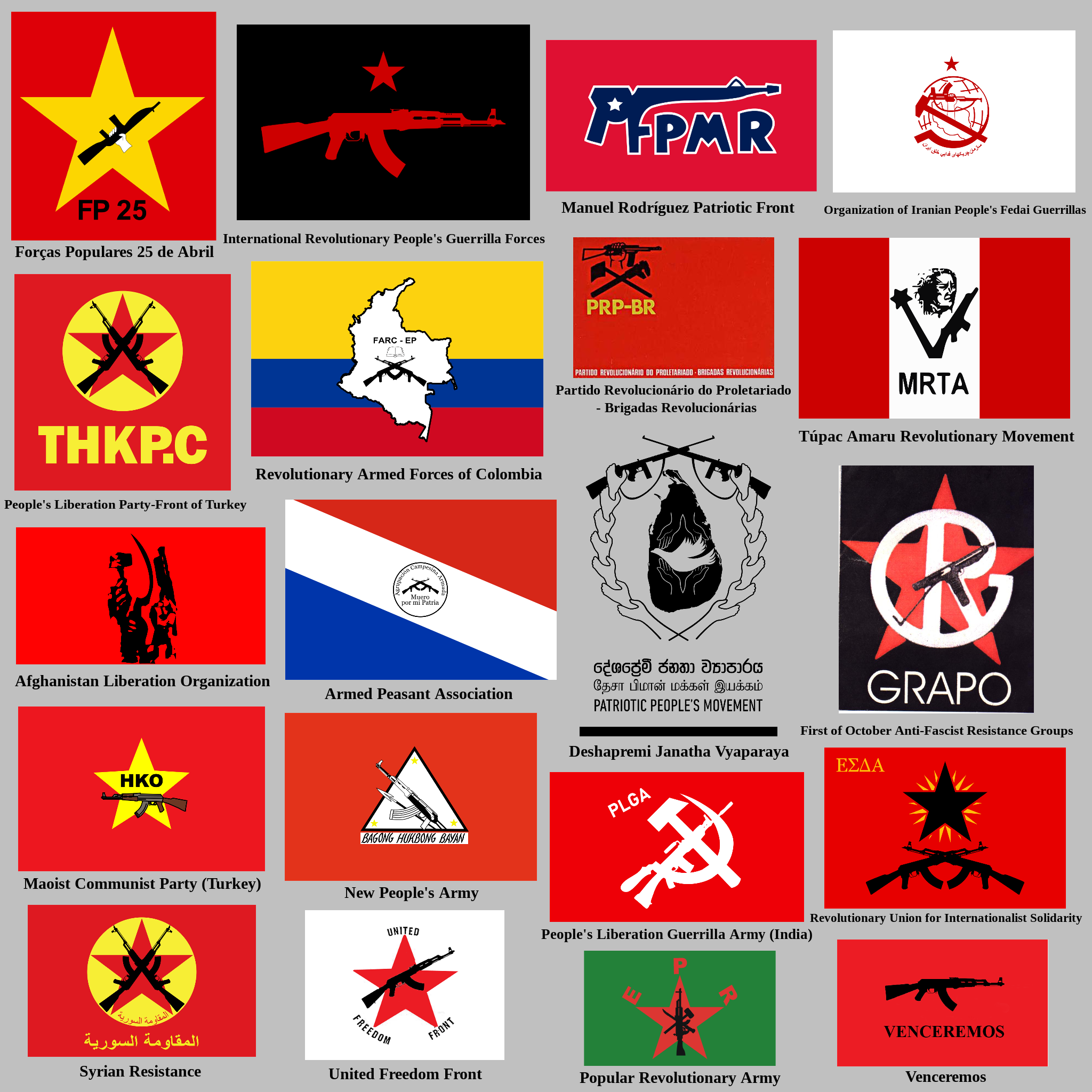 Left-Wing Rebel Groups With Guns In Their Flags : r/vexillology