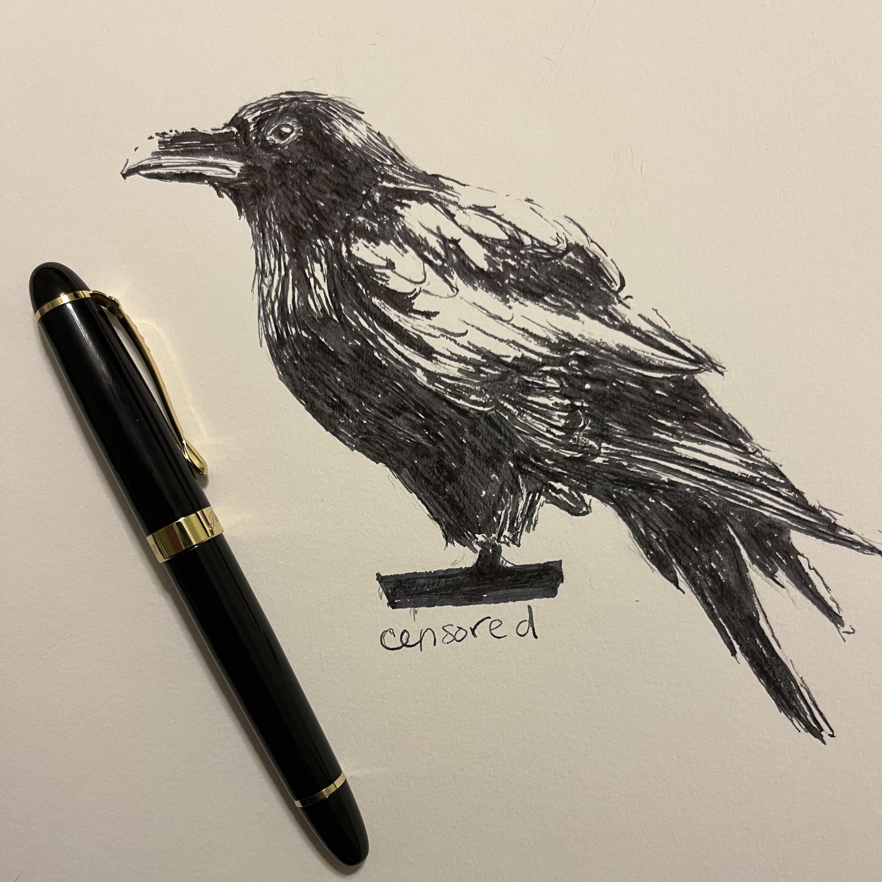 First pen test drive 🖊️ 🐦‍⬛ : r/fountainpens