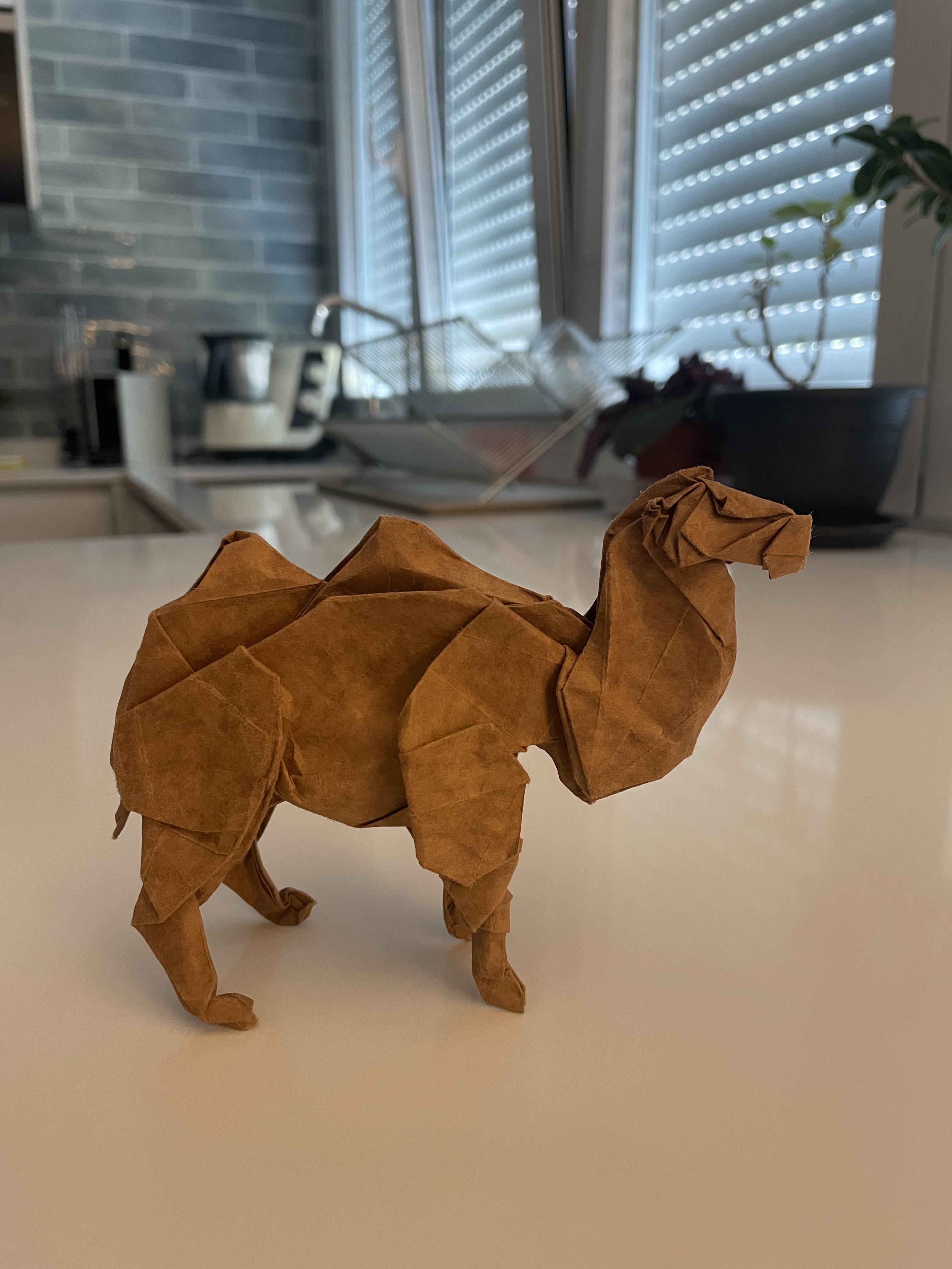 bactrian camel designed by shuki kato (folded from a 35x35 cm