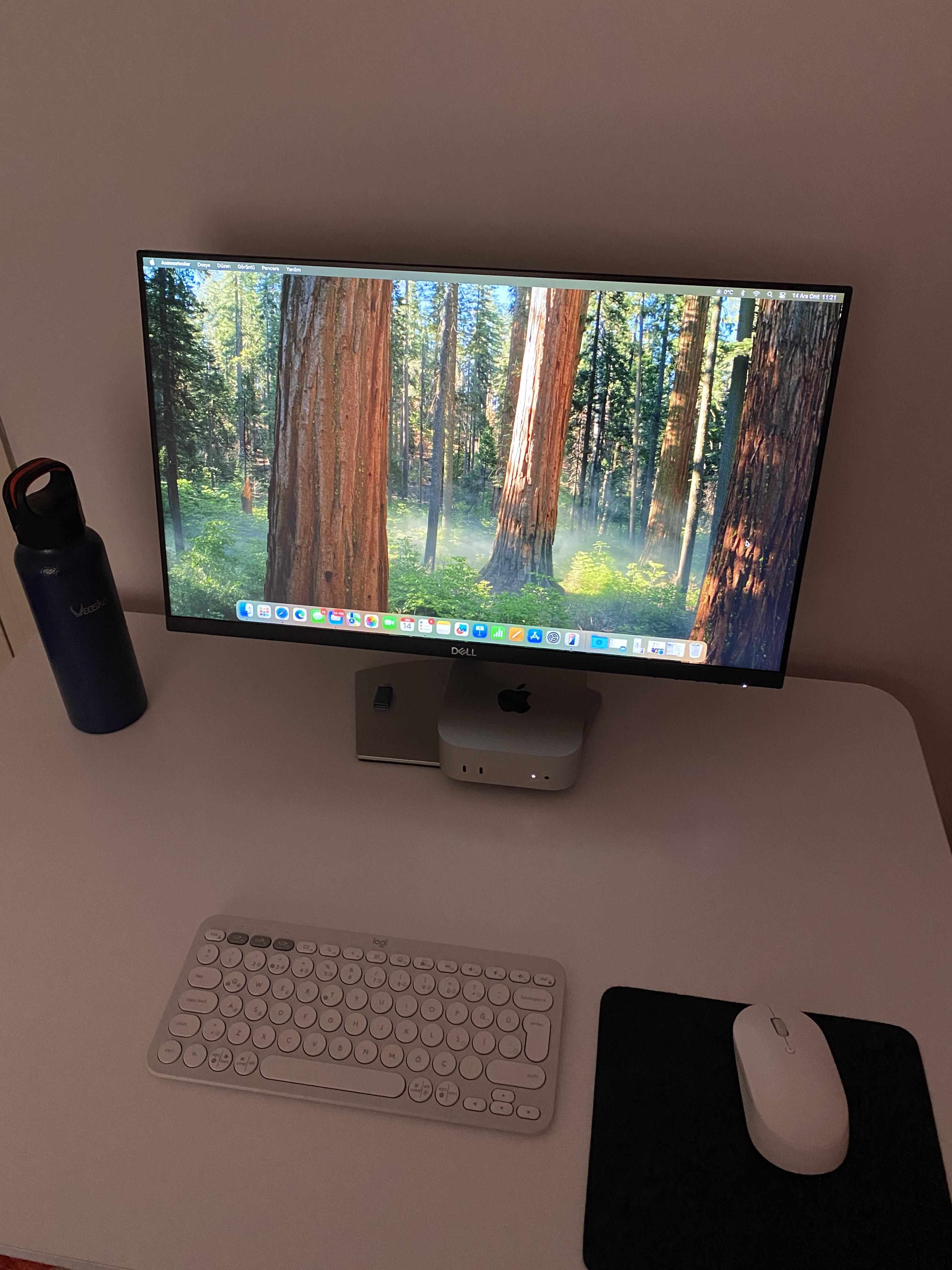 M4 Mac mini 16/256 - logi k380s & mi マウスセットアップ : r/macmini