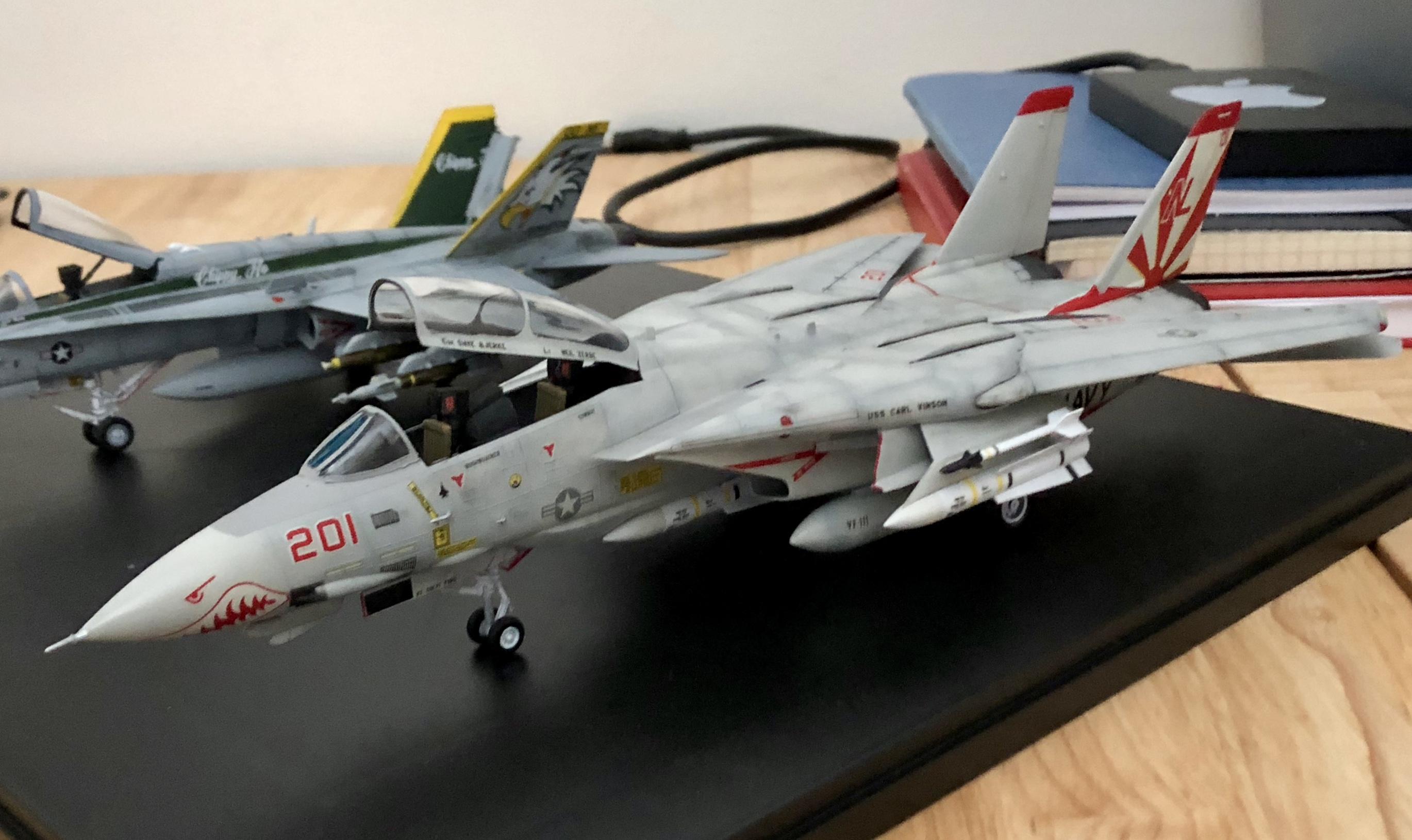 ハセガワ 1/72 F-14A トムキャット VFA-111 