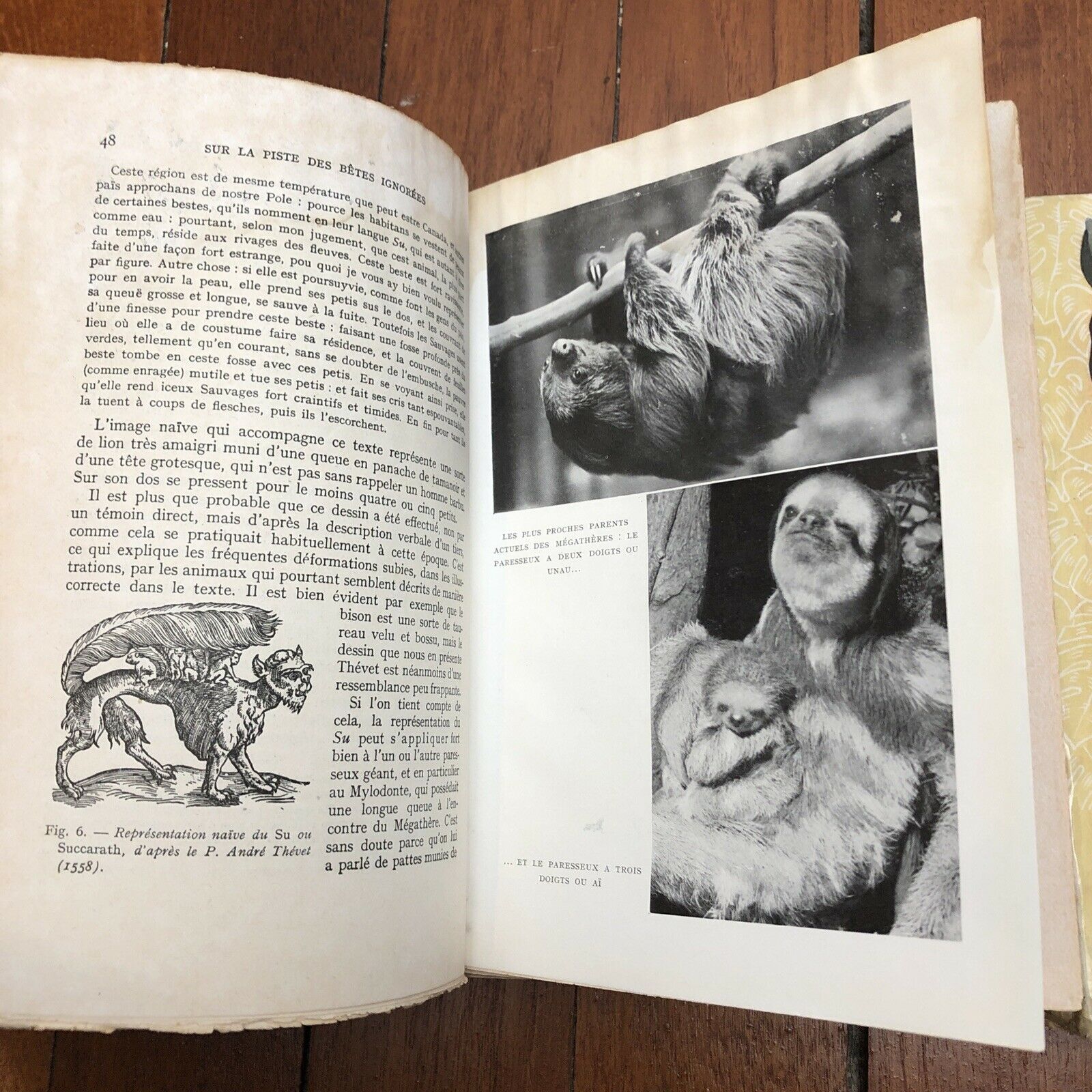 My 1955 first edition of 