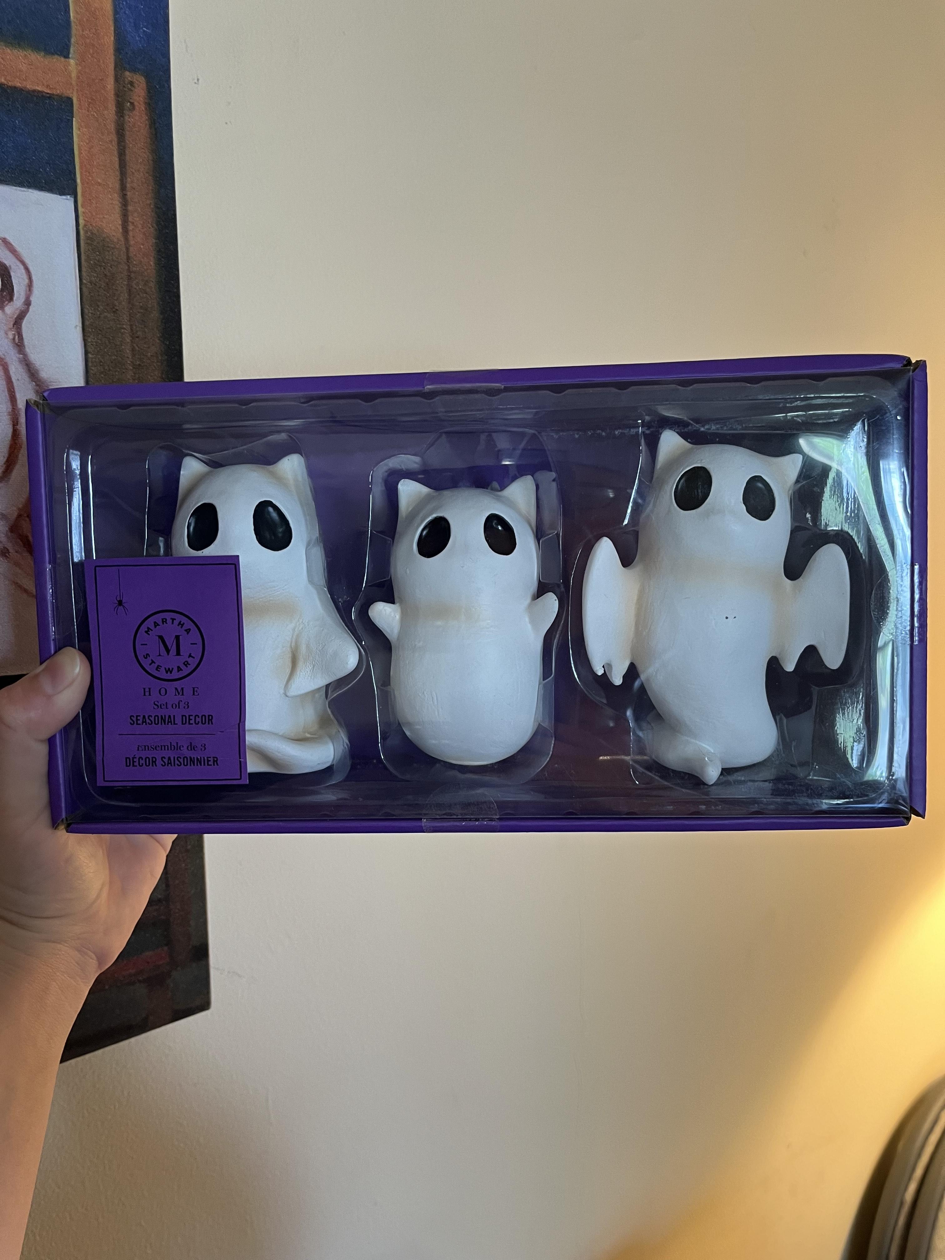 Finally scored these cuties and decided to name them Stretch