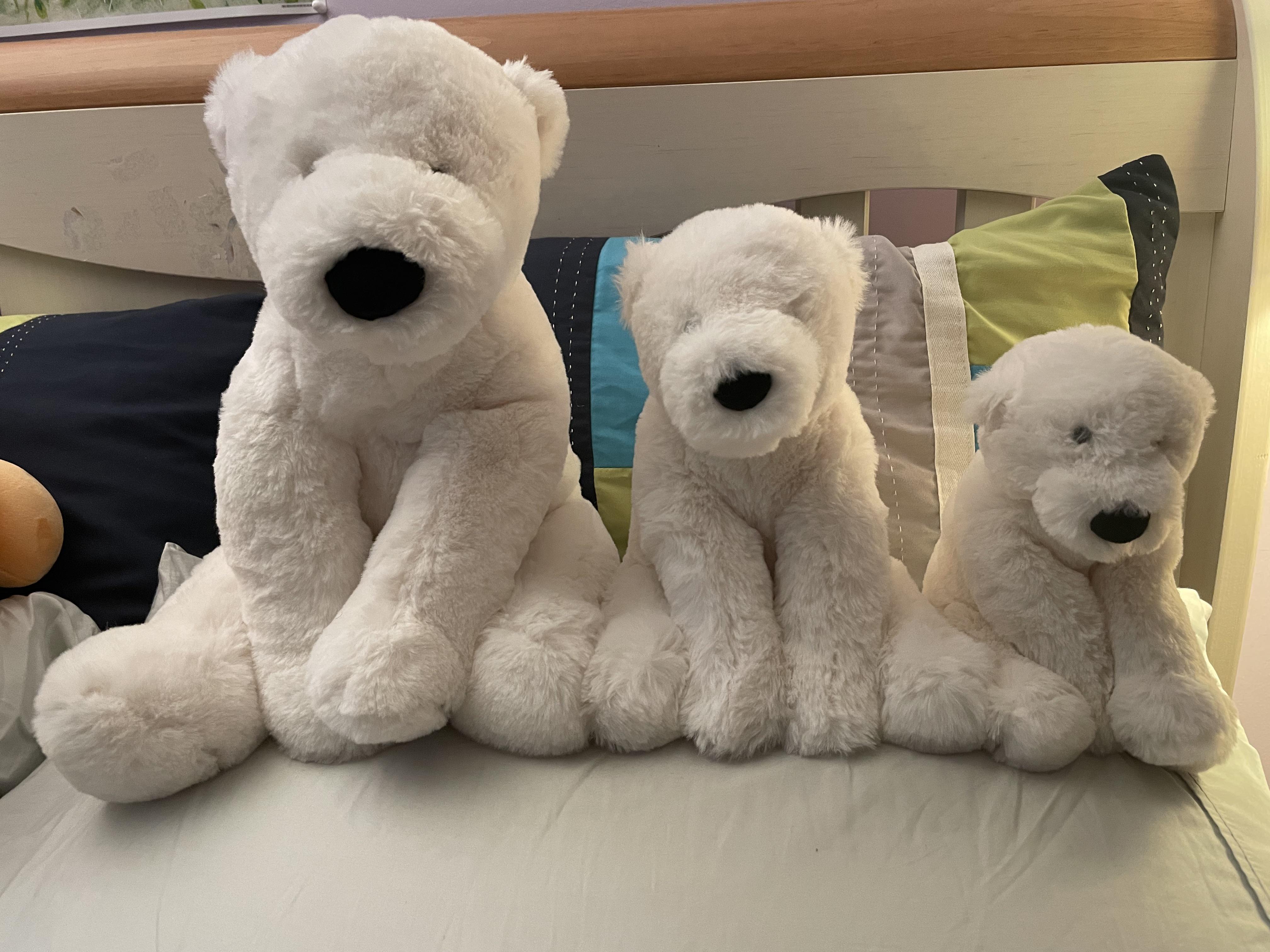 Size of medium perry polar bear? : r/Jellycatplush