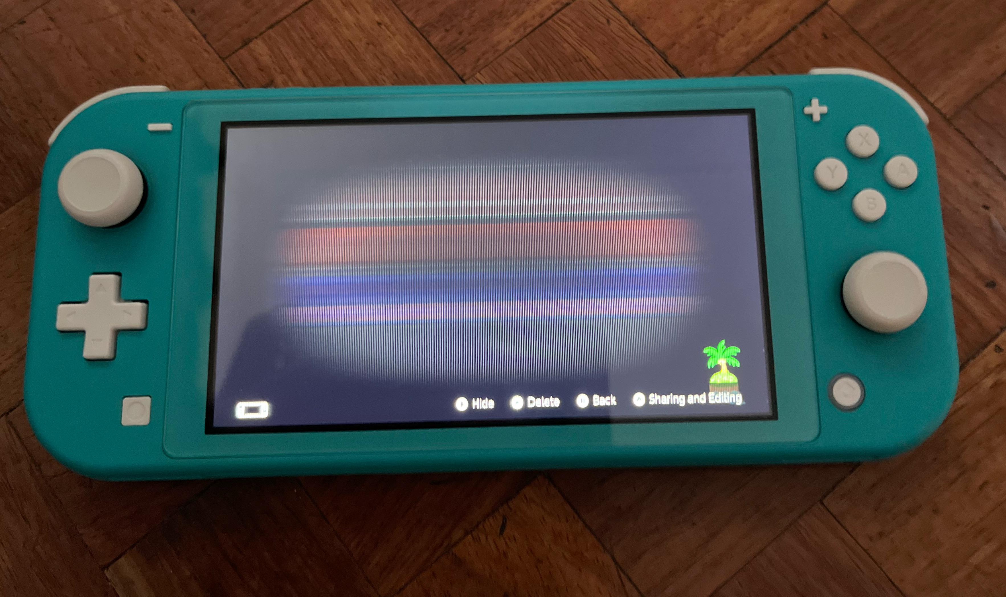 Switch Lite LCD 縦線問題 : r/NintendoPH