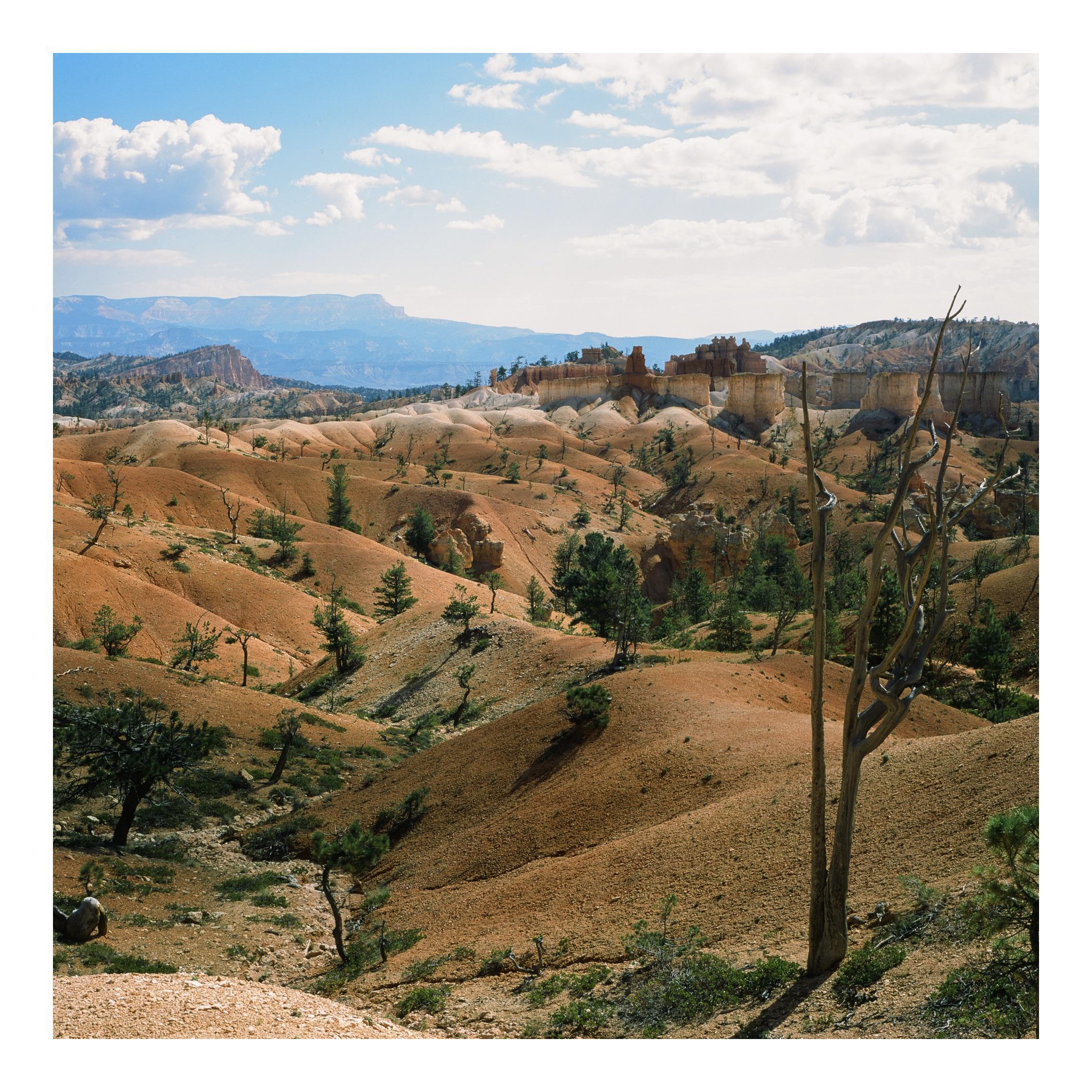 Zenza Bronica SQ-A | Zenzanon S 50mm f3.5 | Fujichrome Provia 100F