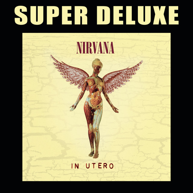 Rape Me - song and lyrics by Nirvana | Spotify