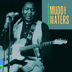 Muddy Waters Sings Big Bill Broonzy - Album by Muddy Waters | Spotify