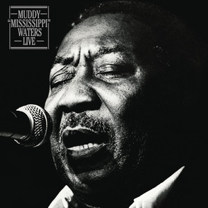 Muddy Waters Sings Big Bill Broonzy - Album by Muddy Waters | Spotify