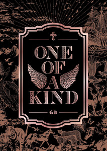 2013 G-DRAGON WORLD TOUR 'ONE OF A KIND in SEOUL' - Album by G