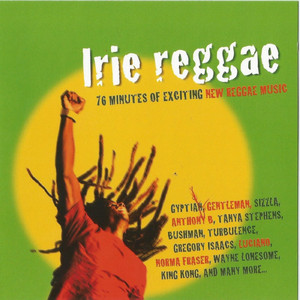 STYLE IRIE DANCE REGGAE スポーツ・フィットネス DVD ORIGINAL