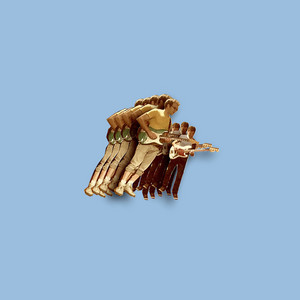 The Beautiful Game - Album by Vulfpeck | Spotify