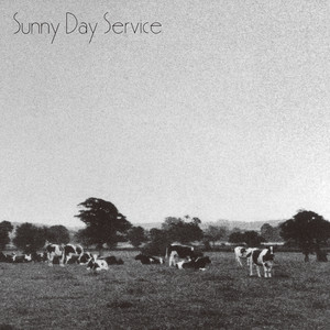 サニーデイ・サービス - Album by Sunny Day Service | Spotify