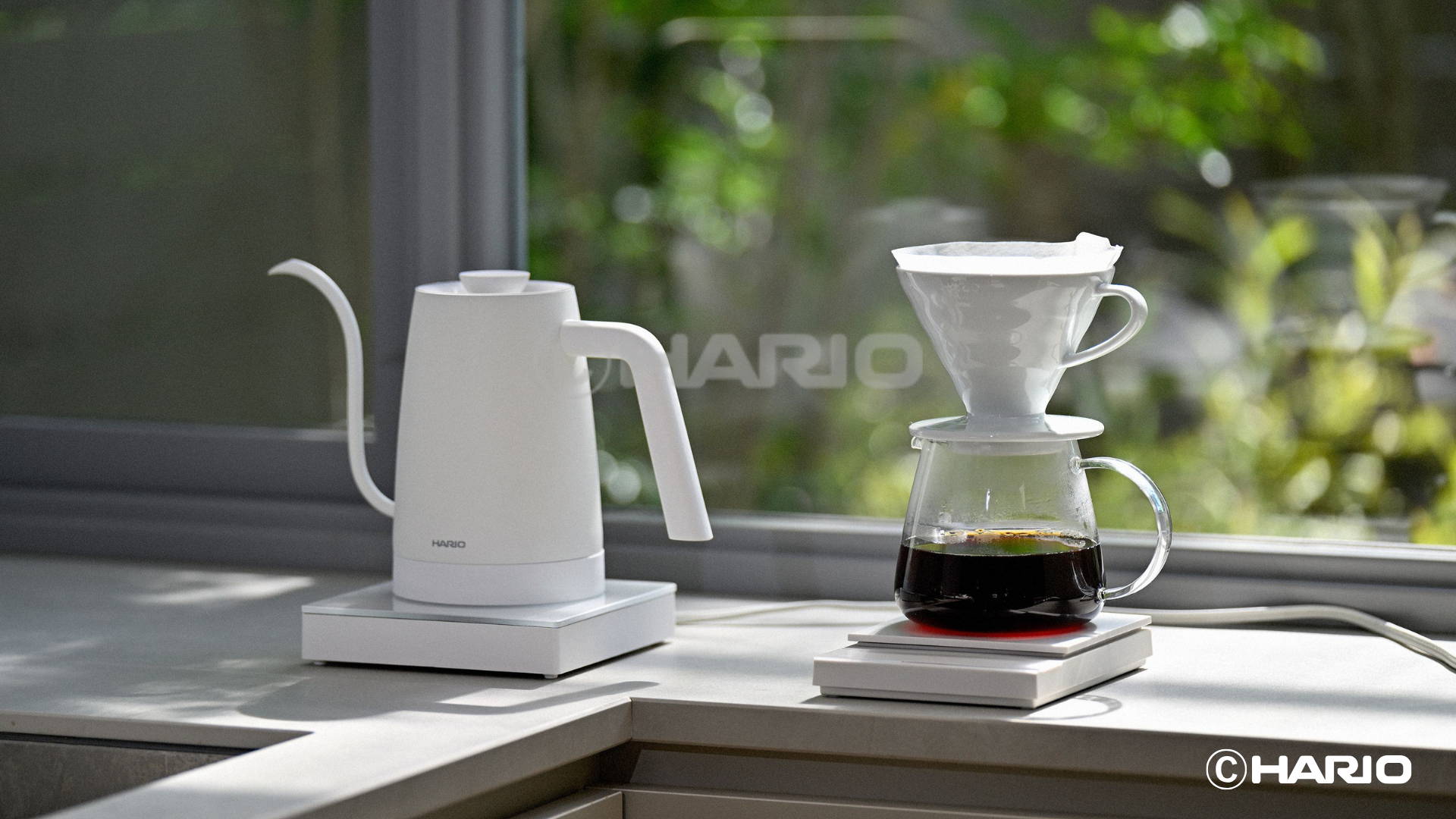 Electric Kettle Lyra｜HARIO Official Shop