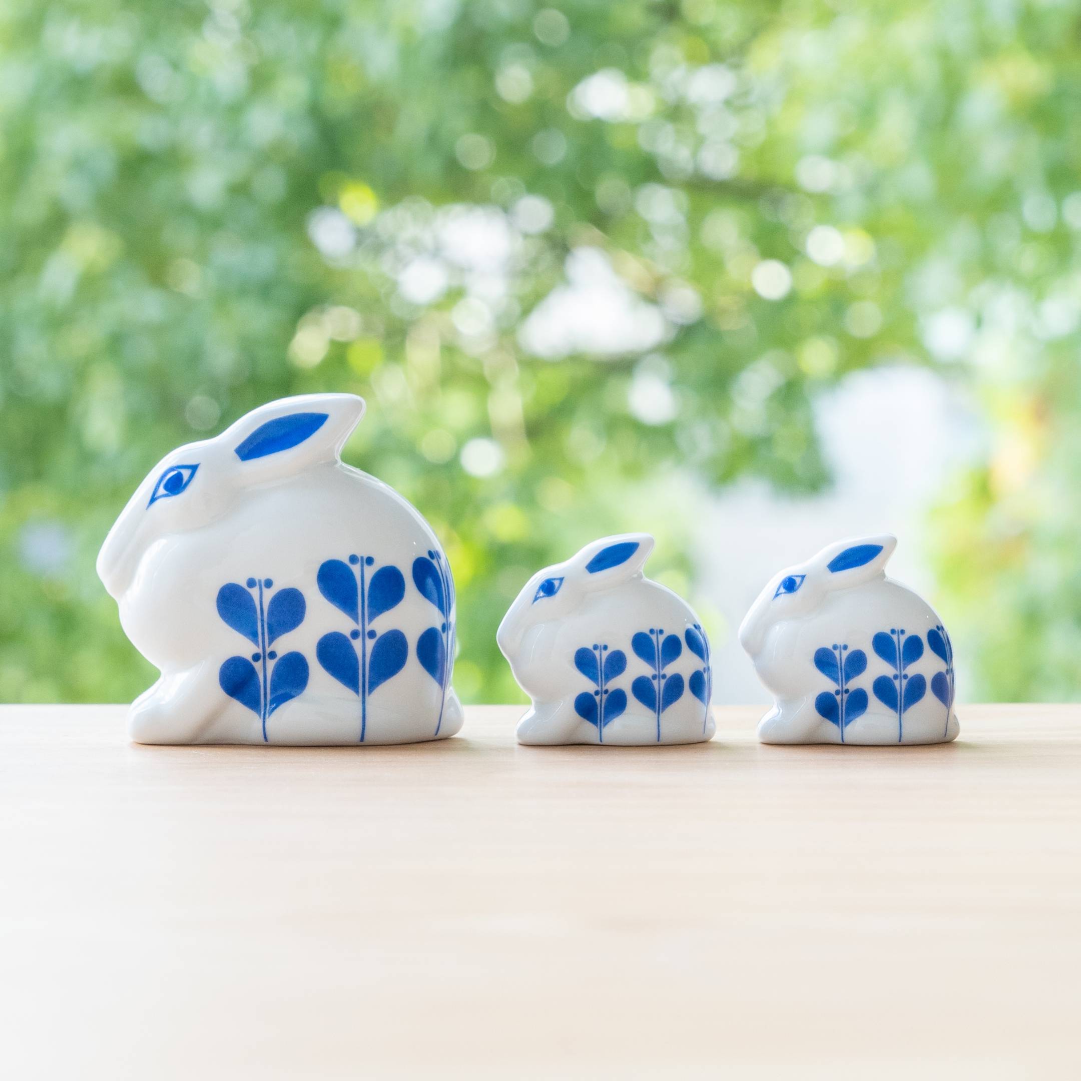 これから本番！ひかりのうさぎ！