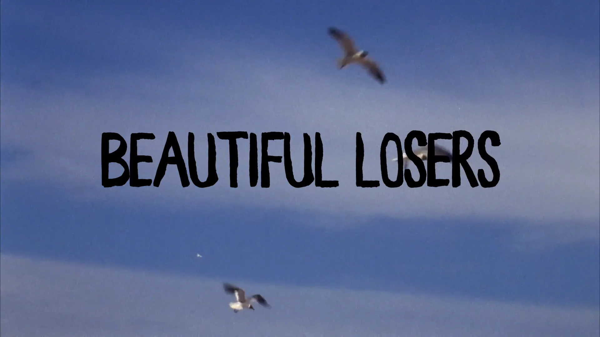 About the Film - Beautiful Losers: The Raw Footage Film Archive