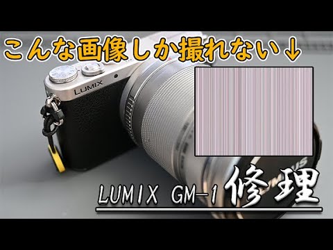 ジャンクカメラ LUMIX G8 5000円動作検証/全部入り超コスパMFT機を破格