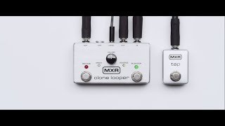 MXR® CLONE LOOPER™ PEDAL M303 | モリダイラ楽器