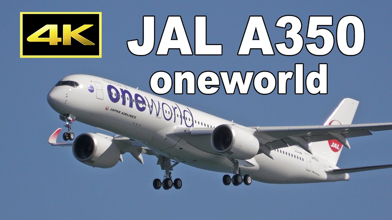 4K] JAL A350 ワンワールド塗装機 就航 / JAL Oneworld Livery Airbus