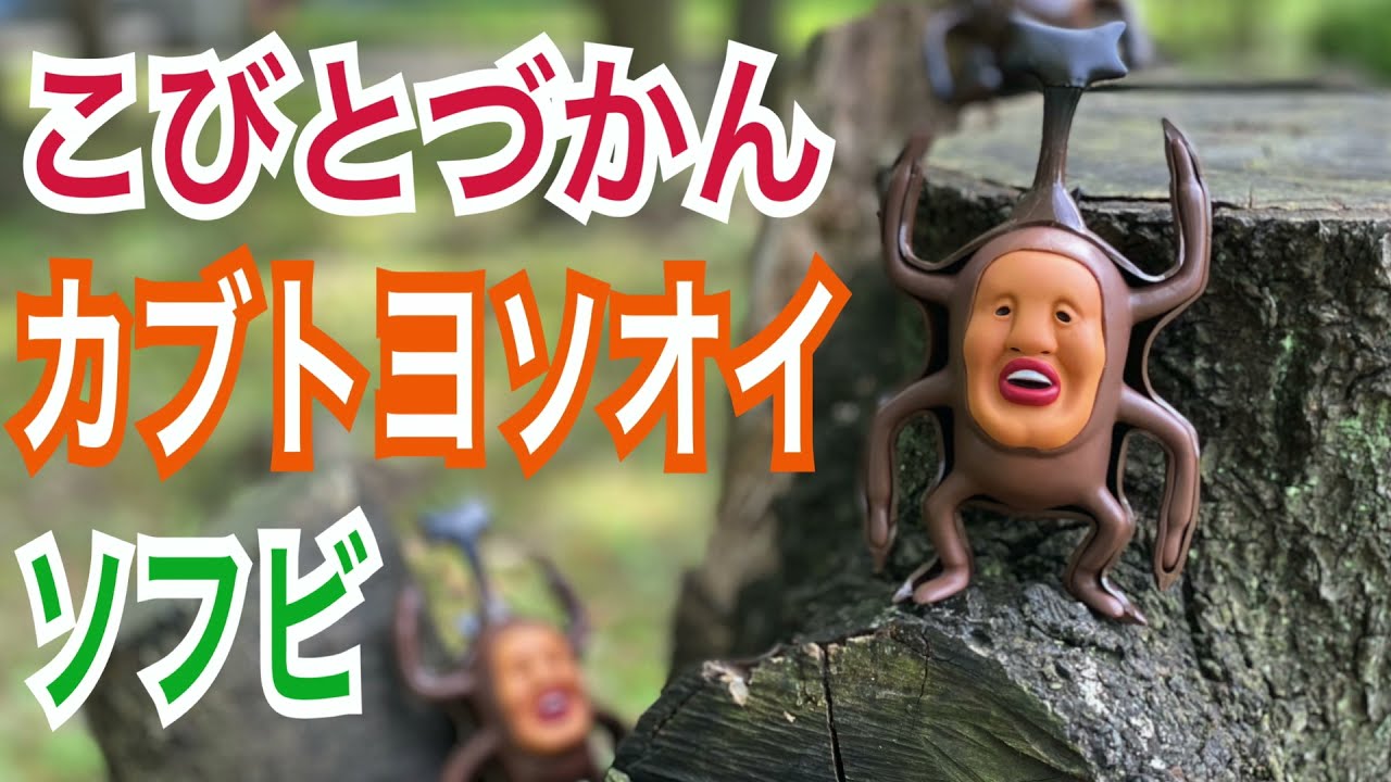 こびとづかん】カブトヨソオイのリアルソフビ販売再開！城南村田BASE