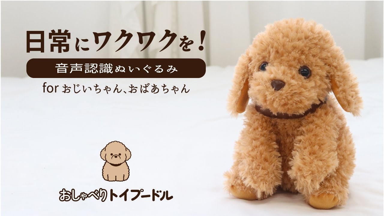おしゃべりトイプードルのご紹介！ - おしゃべりトイプードル公式サイト