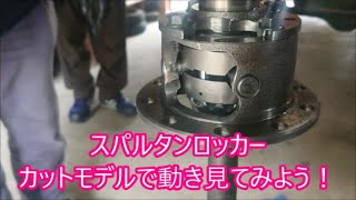 カットモデルでスパルタンロッカーの動き見せます スプリングの固さの