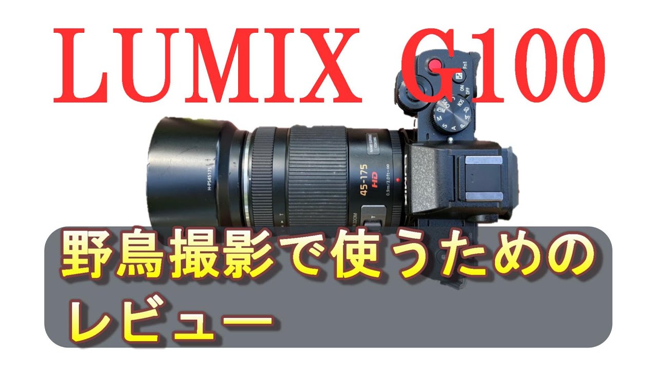 LUMIX G100 Review] Use it for bird photography! - YouTube