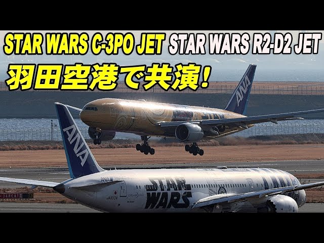 STAR WARS C-3PO JET (JA743A) B777-281/ER スターウォーズ羽田空港で