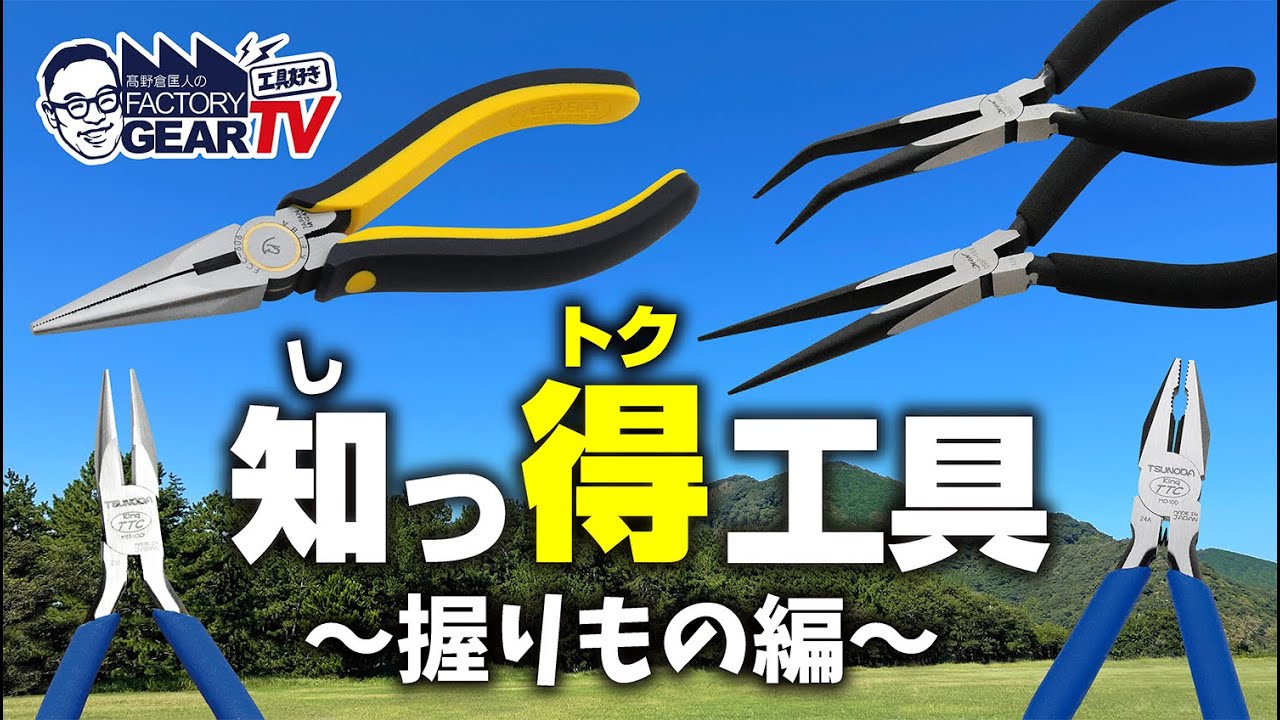 DEEN スリムロングプライヤー（ピンセットラジオペンチ・ベント） DNSP