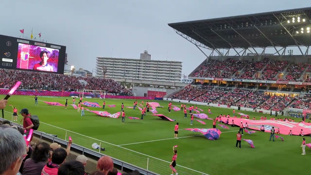 日本傳上法円天流道術　内海康満監修ダイジェスト版DVD 11枚不揃い 道術？