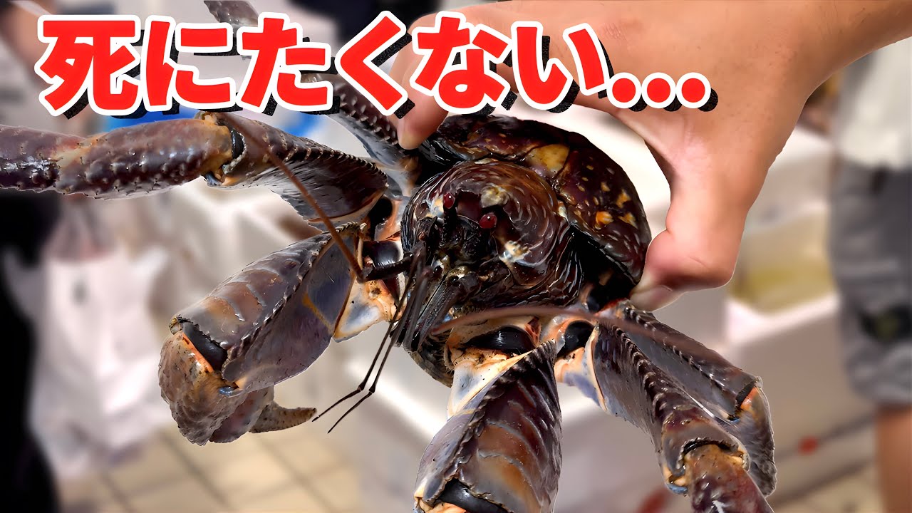 What happens when you try to raise the world's most dangerous