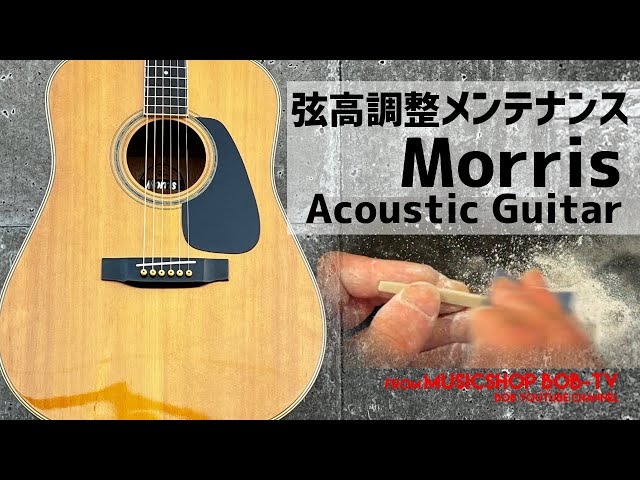 Morris アコースティックギター【メンテナンス記録】弦高調整 #ボブ