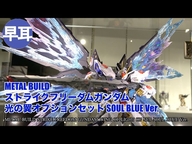 METAL BUILD ストライクフリーダムガンダム 光の翼オプションセット