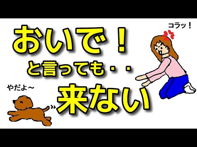 Come on dog] My dog ​​won't come even when I call him! [Dog