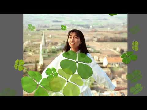 岡村孝子 夏の日の午後 - YouTube