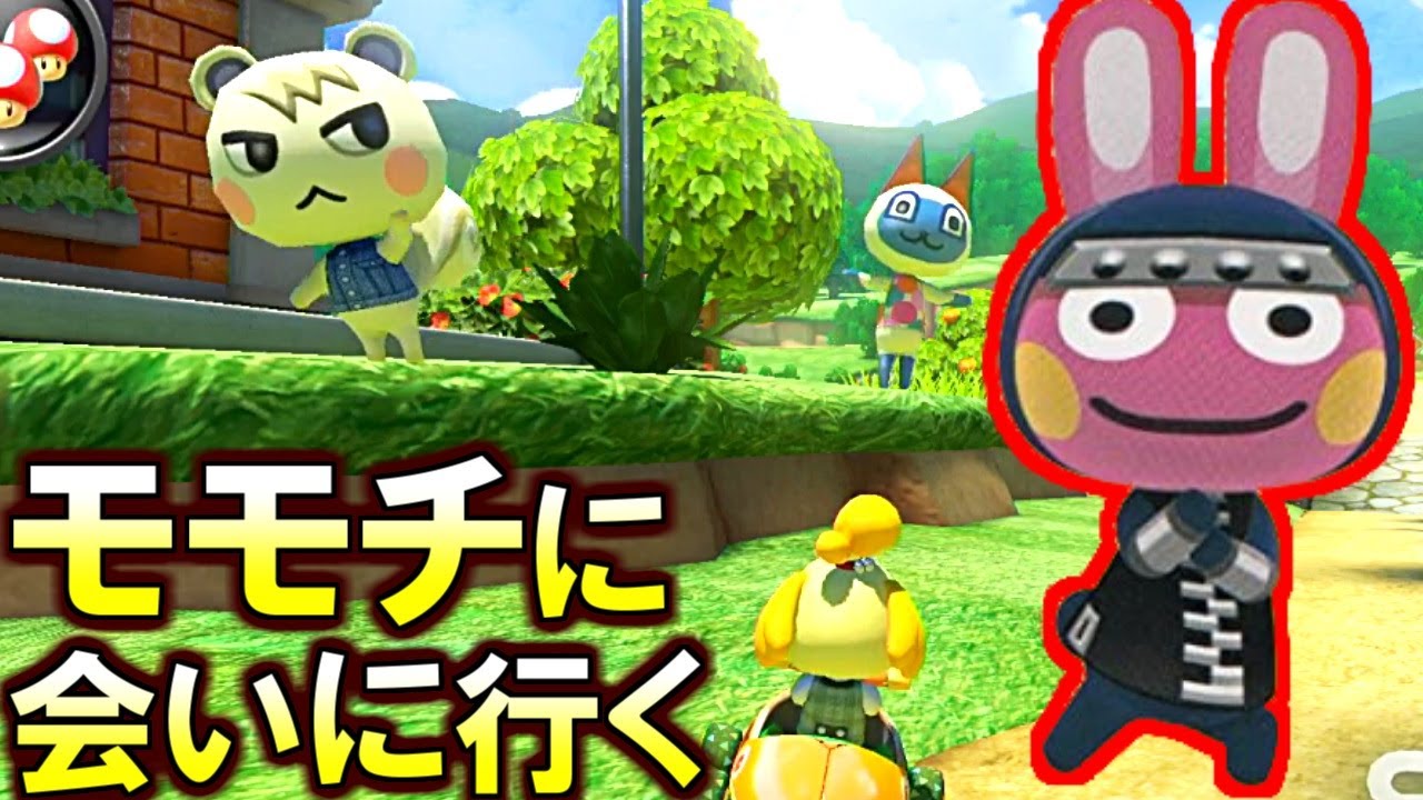 絶対いるでしょ?!マリカーのどうぶつの森にモモチがいるか確認してくる