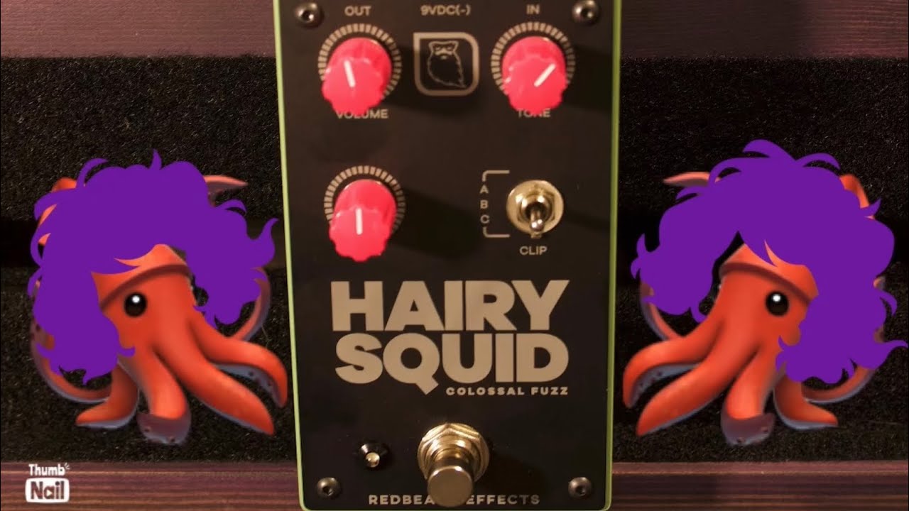 Redbeard Effects Hairy Squid - YouTube