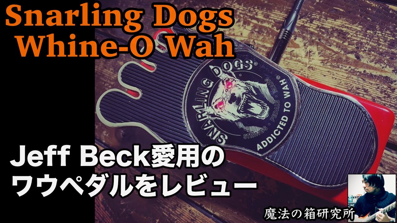 Jeff Beck's favorite wah pedal! Review Snarling Dogs Whine-O Wah
