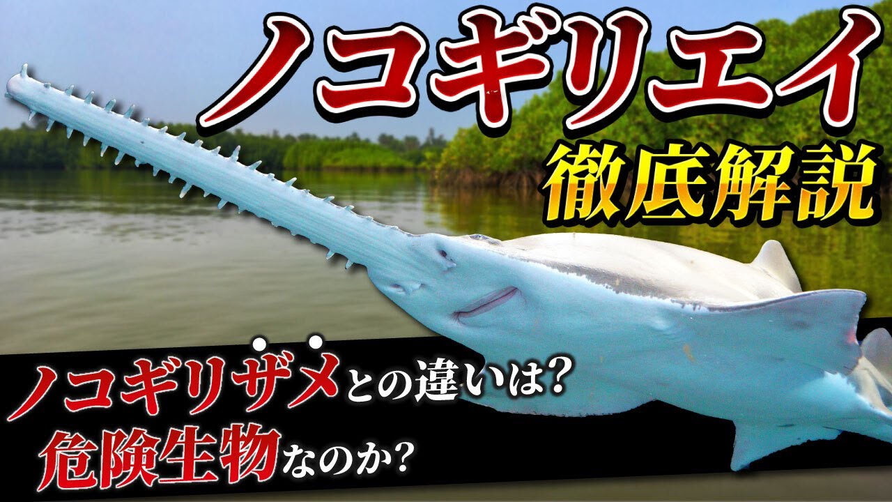 A super rare and dangerous creature? Learn all about the