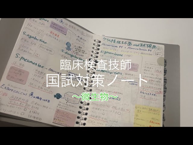 国試対策】臨床検査技師国家試験｜対策ノート｜微生物🦠 - YouTube