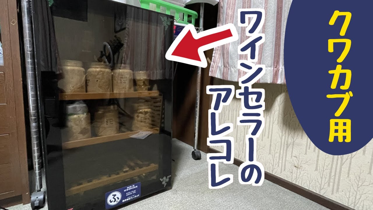 あなたにピッタリのワインセラーは？クワカブ飼育におけるワインセラー