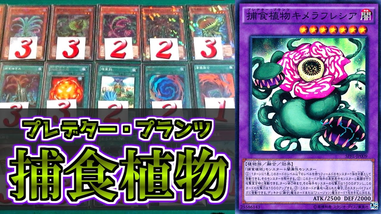 遊戯王 【デッキ紹介】 「捕食植物（プレデター・プランツ