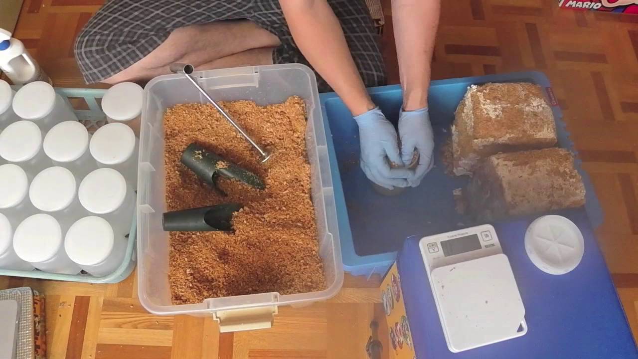 EXCEED CRAFTのLEVIN-G菌糸ブロック3500を800ccの菌糸瓶に詰める