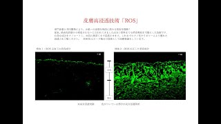 e-エッセンス ヒト幹細胞美容液 | ヒト幹細胞培養液、アミノ酸の通販