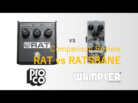Wampler Ratsbane VS ProCo RAT | Comparison Review - YouTube