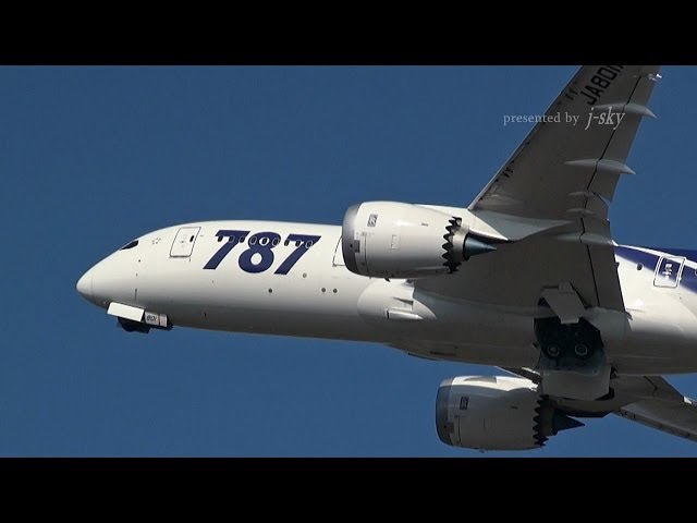 HD] ANA x JAL BOEING 787 DREAMLINER #03 ANA 787 Special Painting