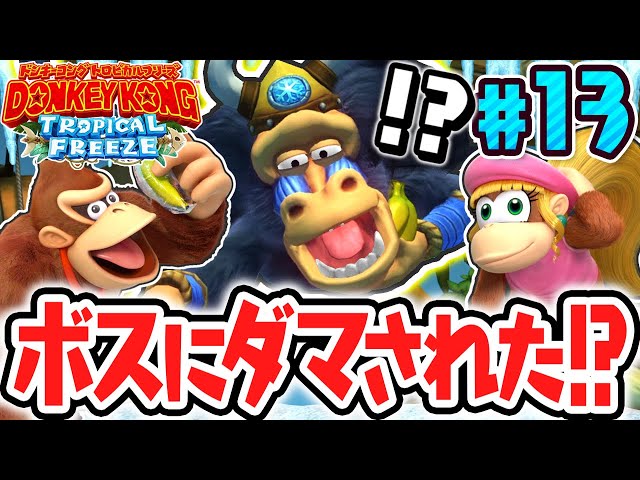 Did you get fooled by the boss monkey's strategy?! The Baboon