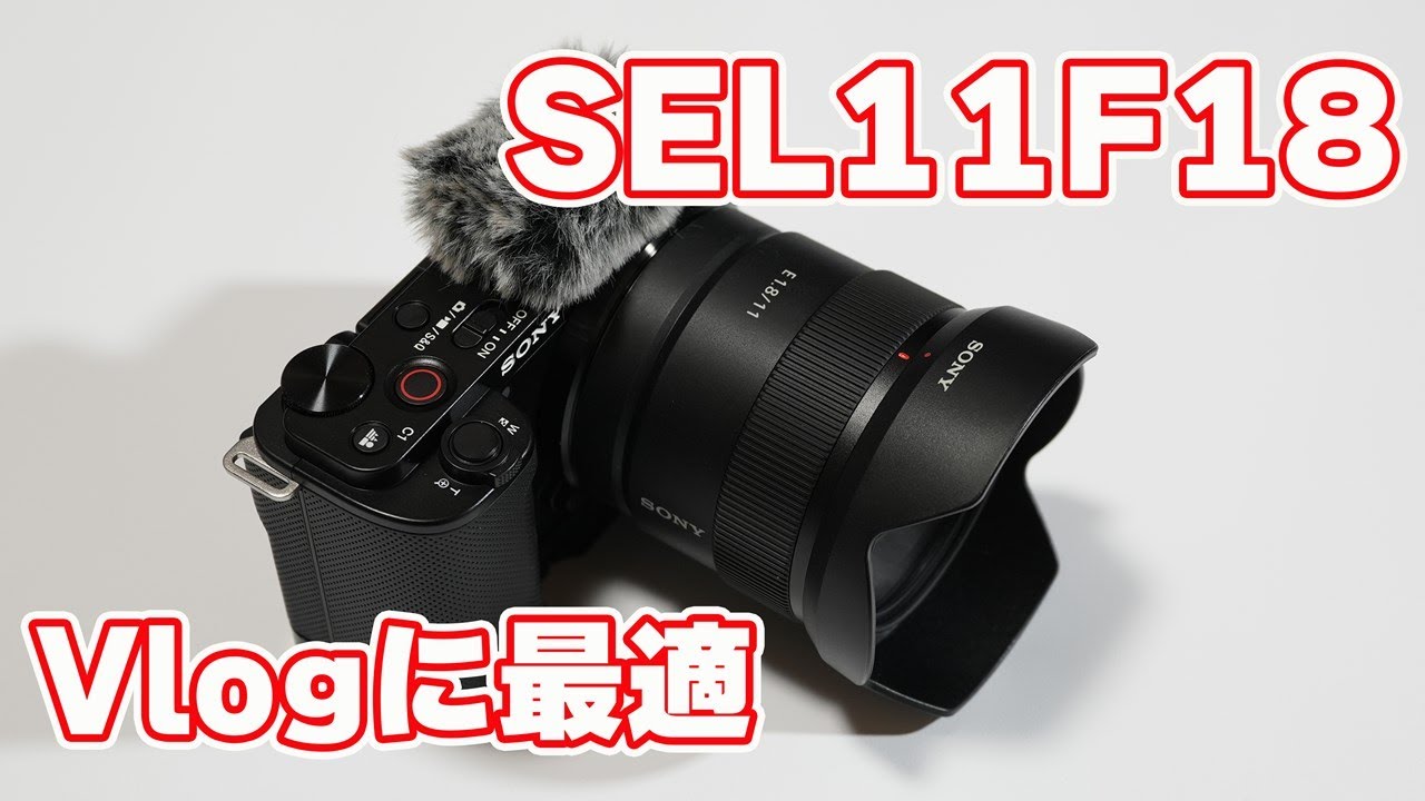 SONY E-mount (APS-C) lens 