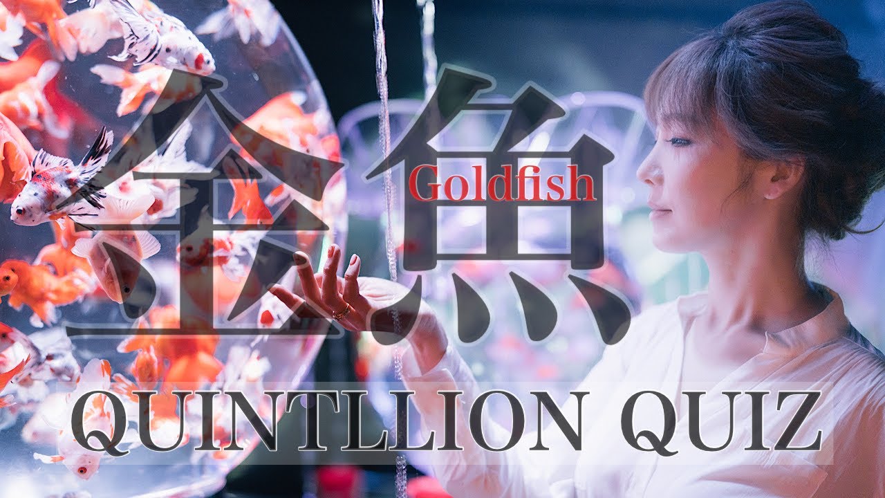 QUINTILLION QUIZ CD myco 峰正典 JU-KEN QUINTILLION QUIZ CD myco 峰